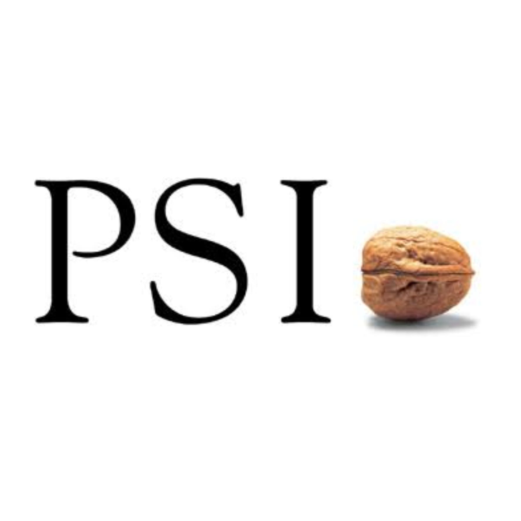 PSI Mines&Roads GmbH